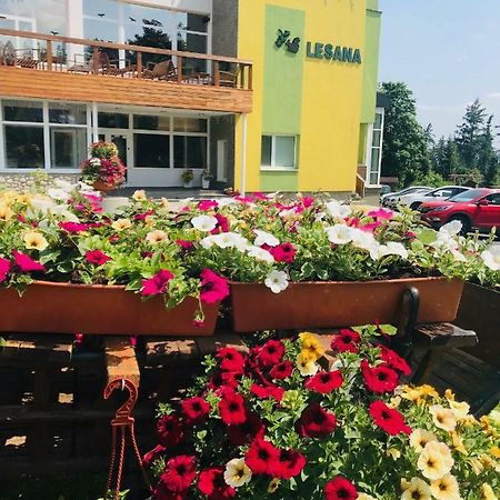 Hotel Lesana Stará Lesná Zewnętrze zdjęcie